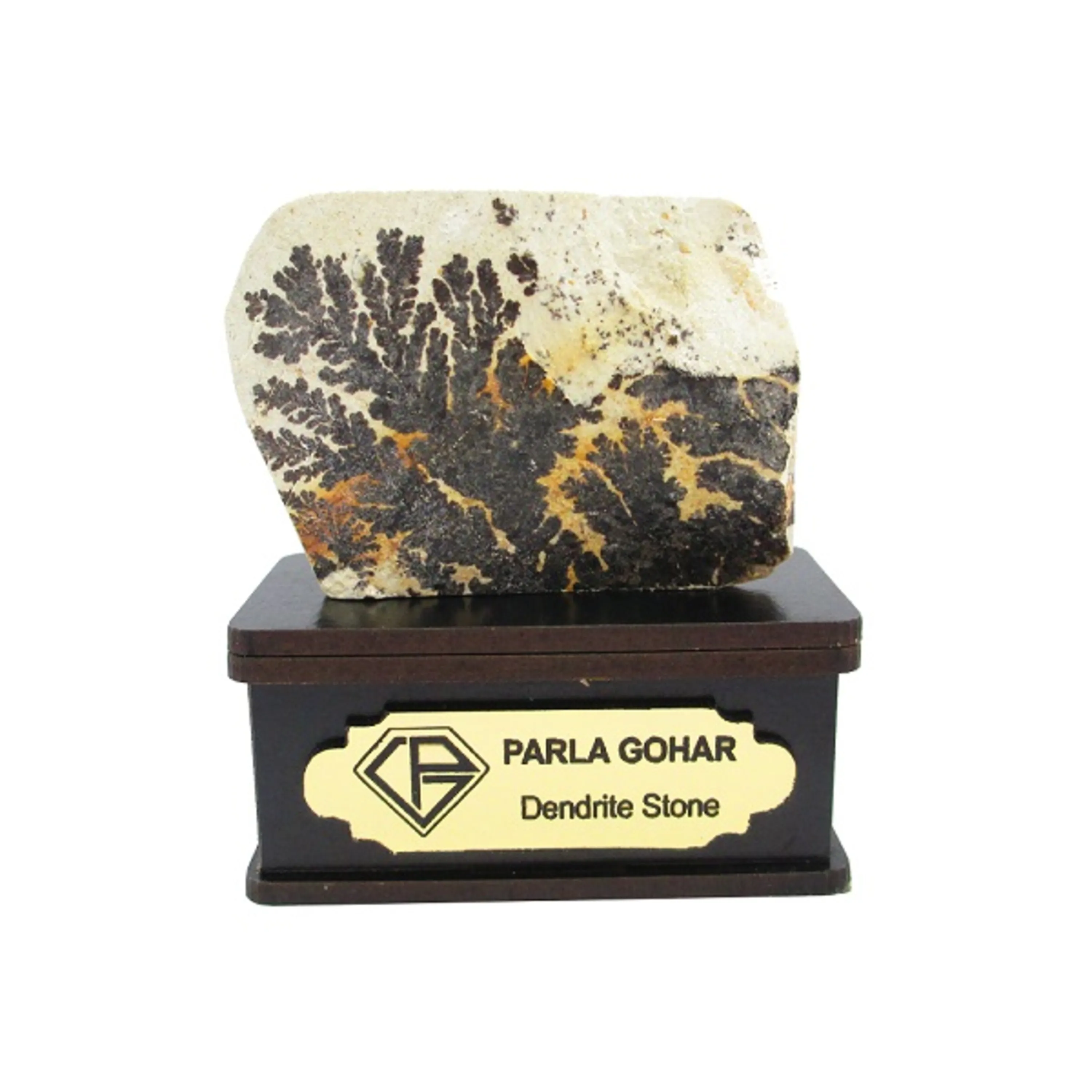 شجر راف کد 2329